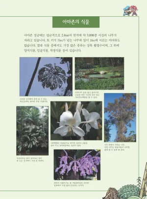 아마존에서 살아남기 - Page 55