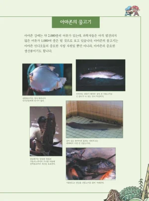 아마존에서 살아남기 - Page 93