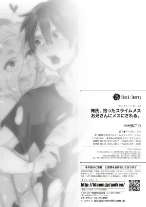 橘こう 俺氏拾ったスライムメスお兄さんにメスにされる - Page 29
