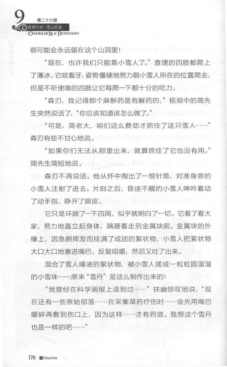 雷欧幻像查理九世 雪山巨魔 - Image 180