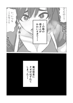 俺の清楚母さんがオナニーしていたので - Page 32