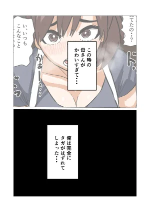 俺の清楚母さんがオナニーしていたので - Page 9