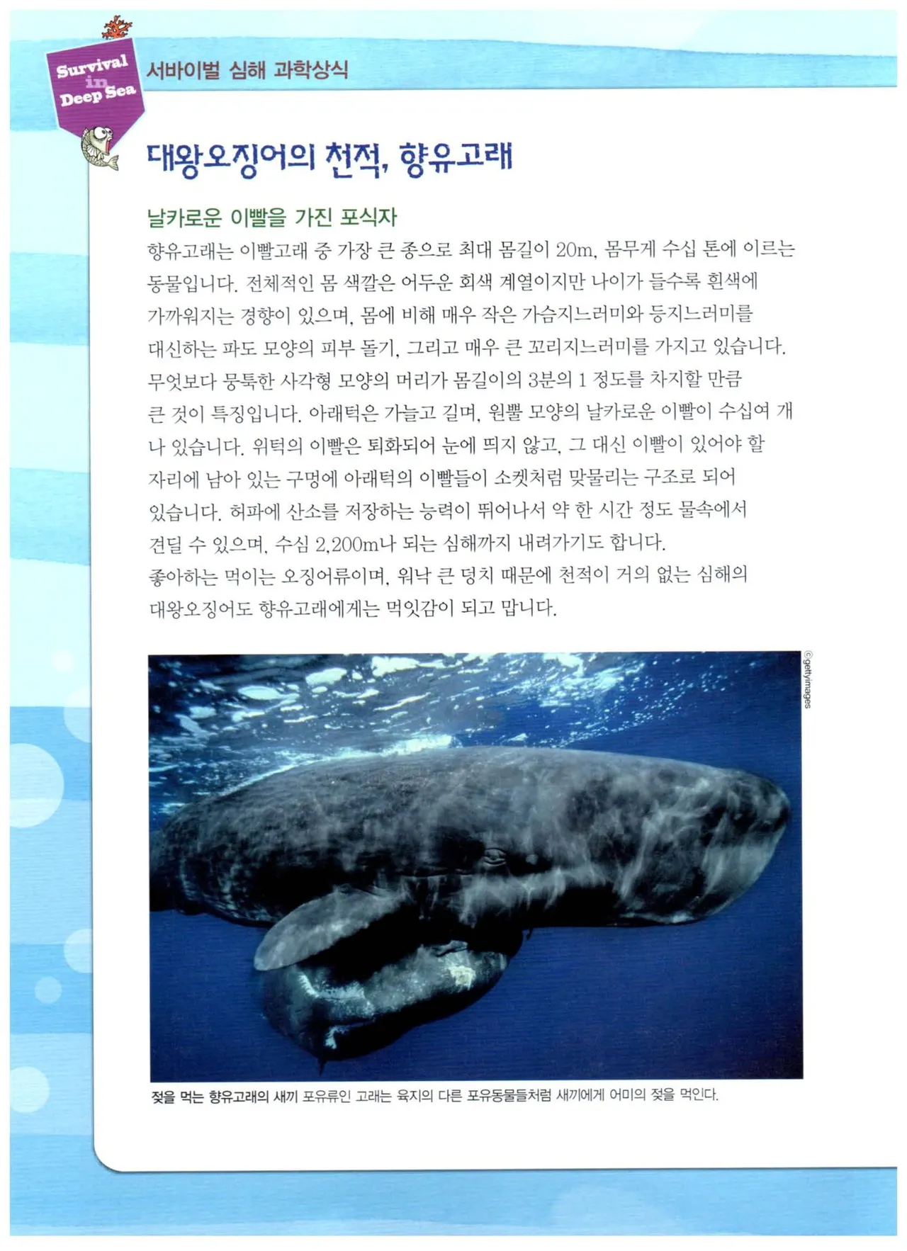 심해에서 살아남기 - Image 128