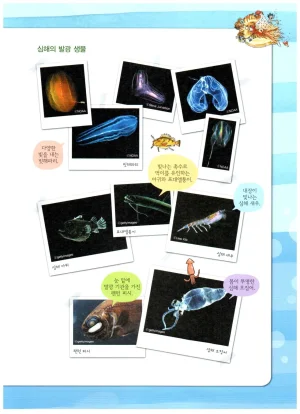 심해에서 살아남기 - Page 79