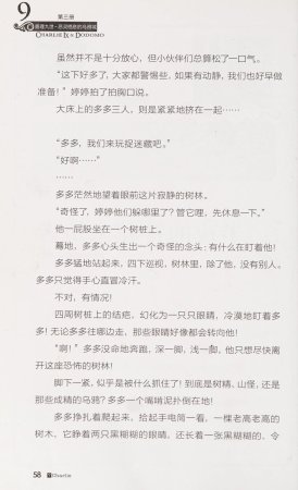 雷欧幻像查理九世 恶灵栖息的乌鸦城 - Page 65