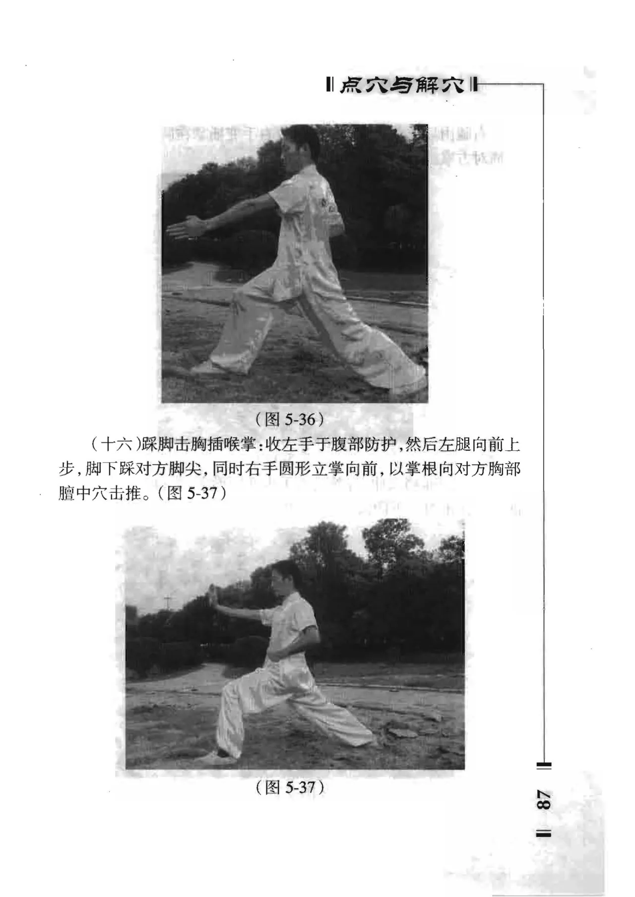 绝技点穴与解穴 - Image 85