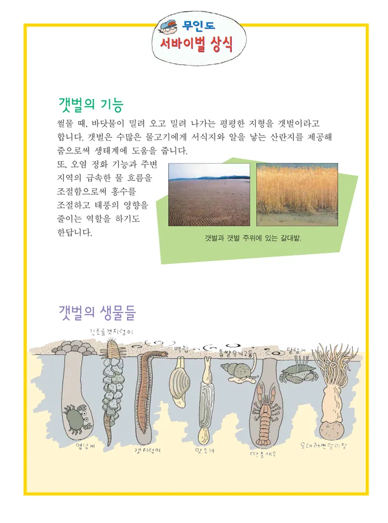 무인도에서 살아남기 - Image 151