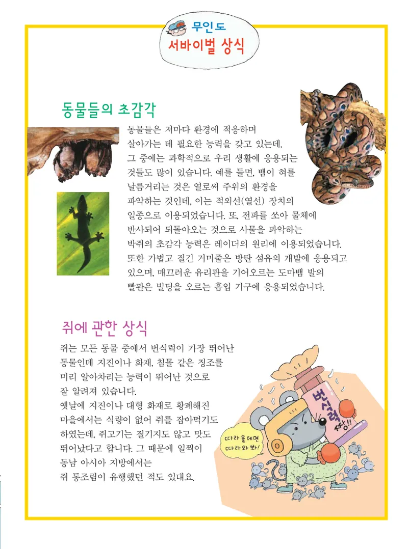 무인도에서 살아남기 - Image 25