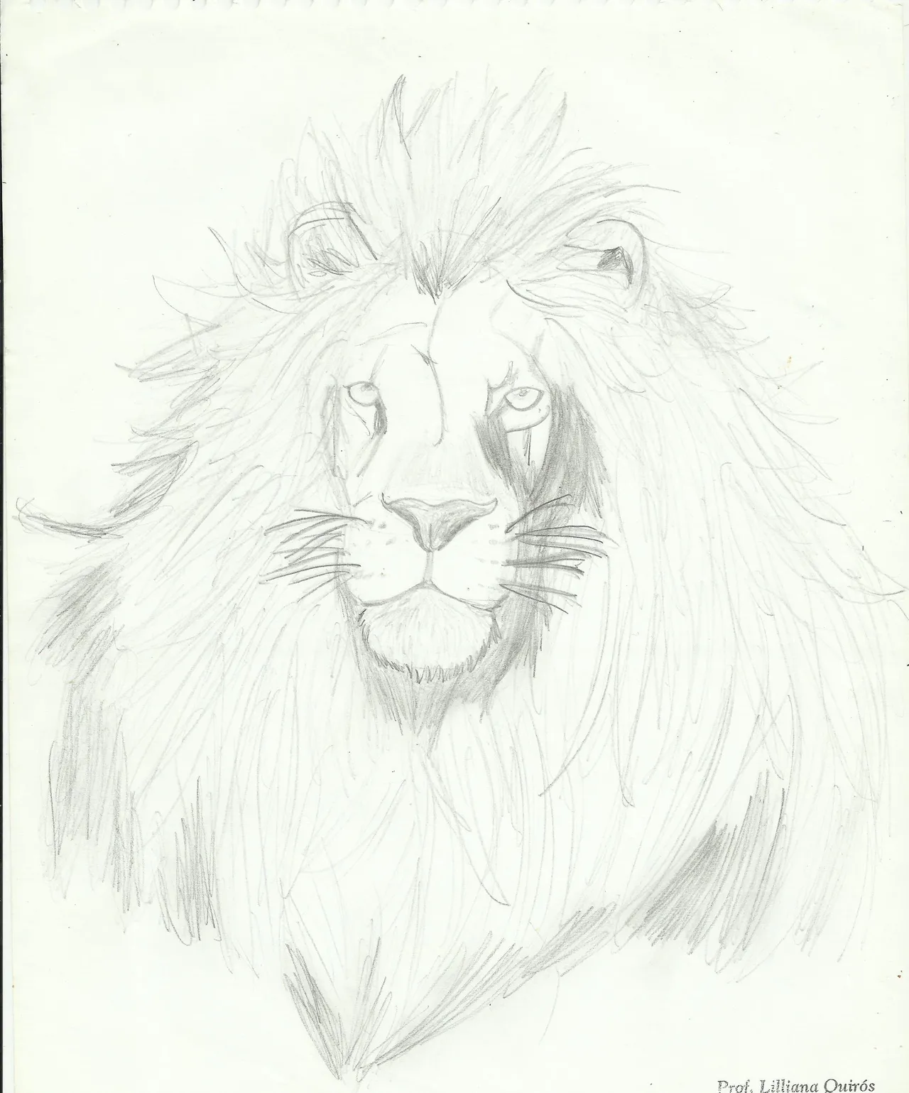 Garland 33 Deviantart - Image 46