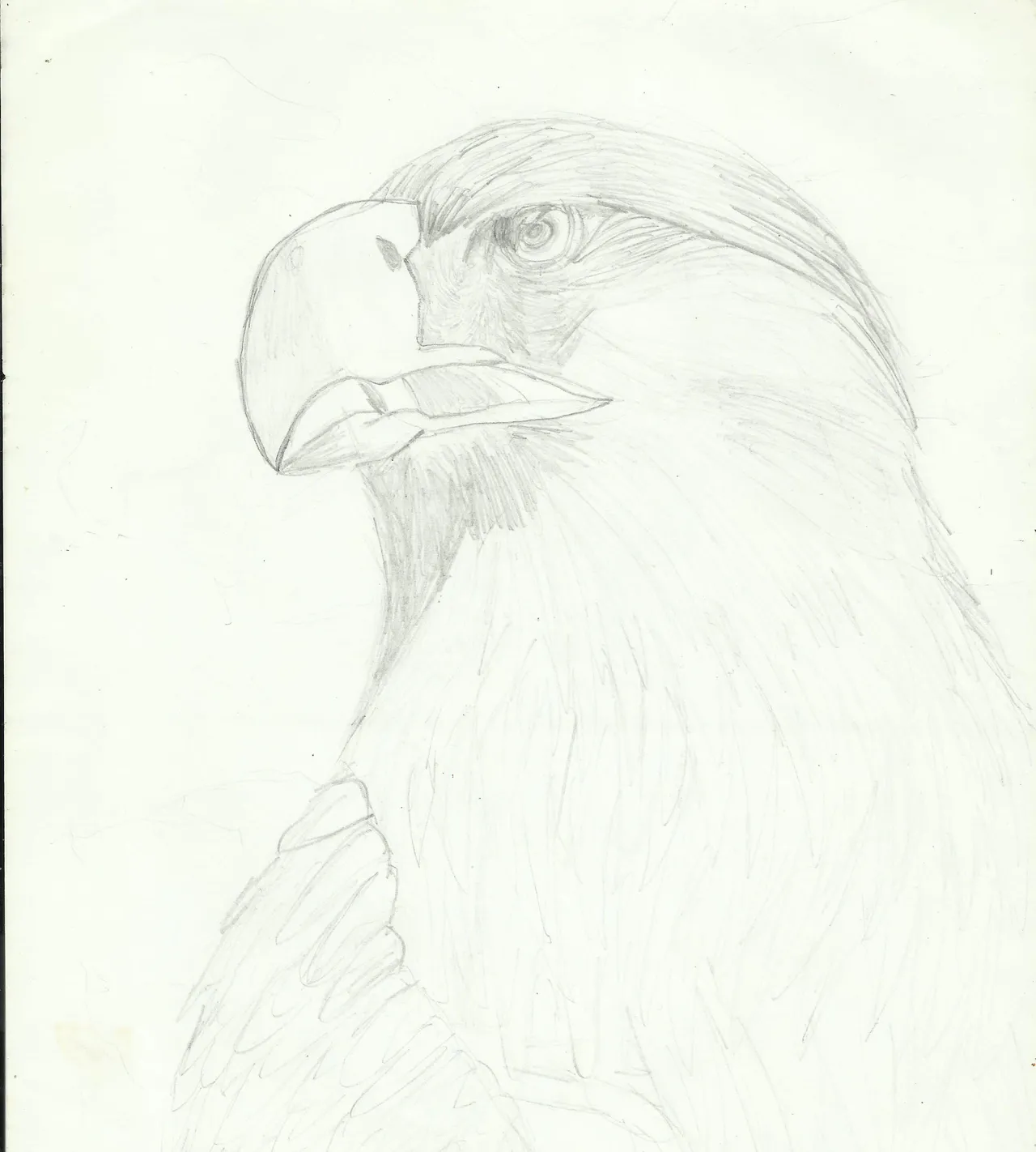 Garland 33 Deviantart - Image 47