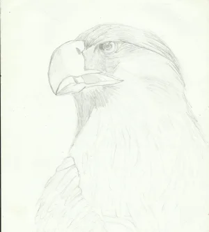 Garland 33 Deviantart - Page 47