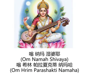 -Gen Divine Visions Hindu Goddesses Collection Durga, Saraswati, Kaliand Shivas Great Illusion Art - Page 14