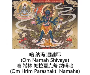 -Gen Divine Visions Hindu Goddesses Collection Durga, Saraswati, Kaliand Shivas Great Illusion Art - Page 94