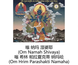 -Gen Divine Visions Hindu Goddesses Collection Durga, Saraswati, Kaliand Shivas Great Illusion Art - Page 95