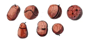 Gravity Rush Daze Remastered Gallery - Page 207