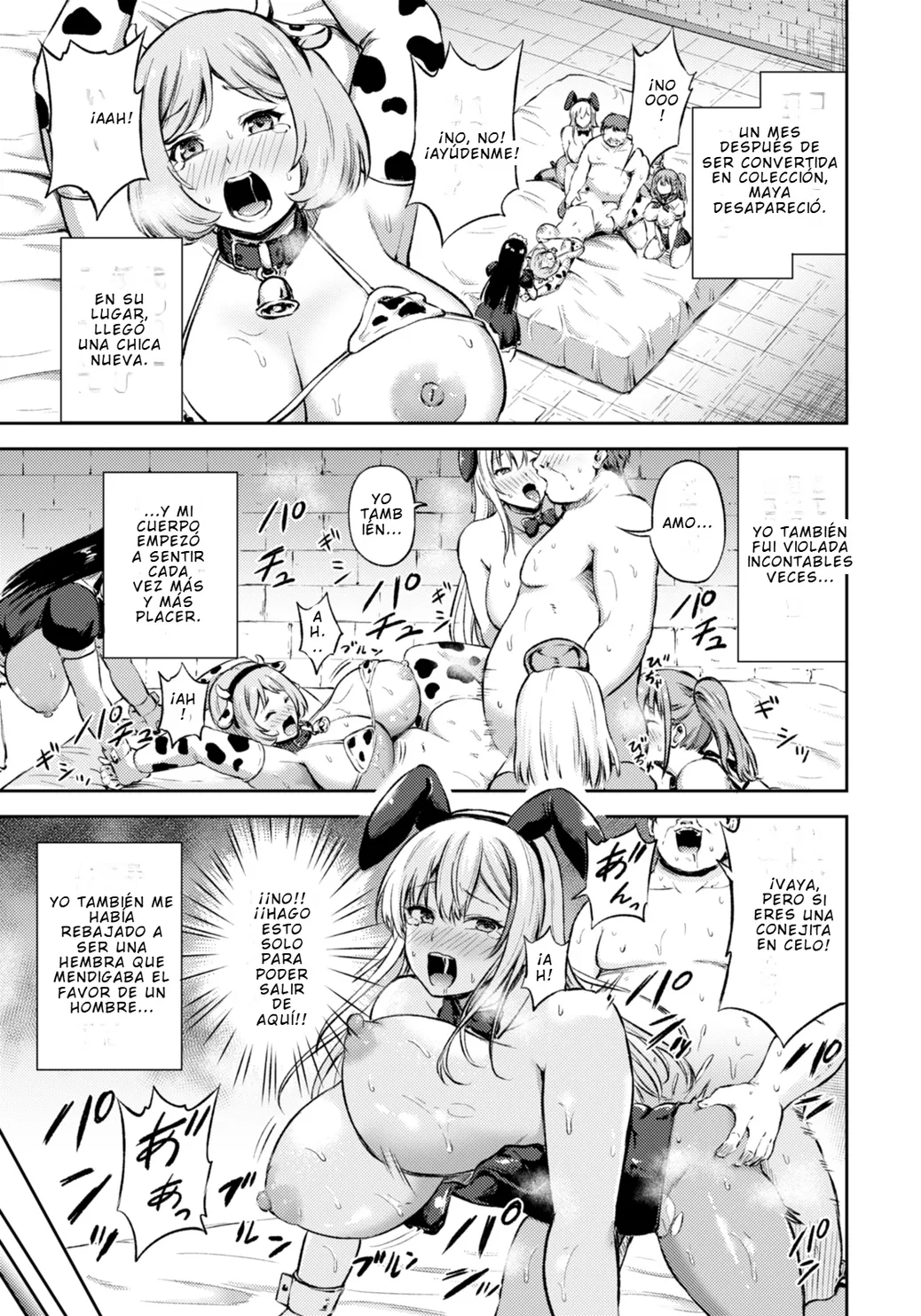 Habitación de Hembras La quinta colección ANGEL Club 2026-02 - Image 15