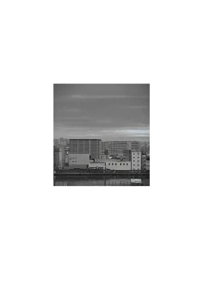 Hamedori Ryuushutsu no Tsuma, Deepfake to Usobuku. - Page 14