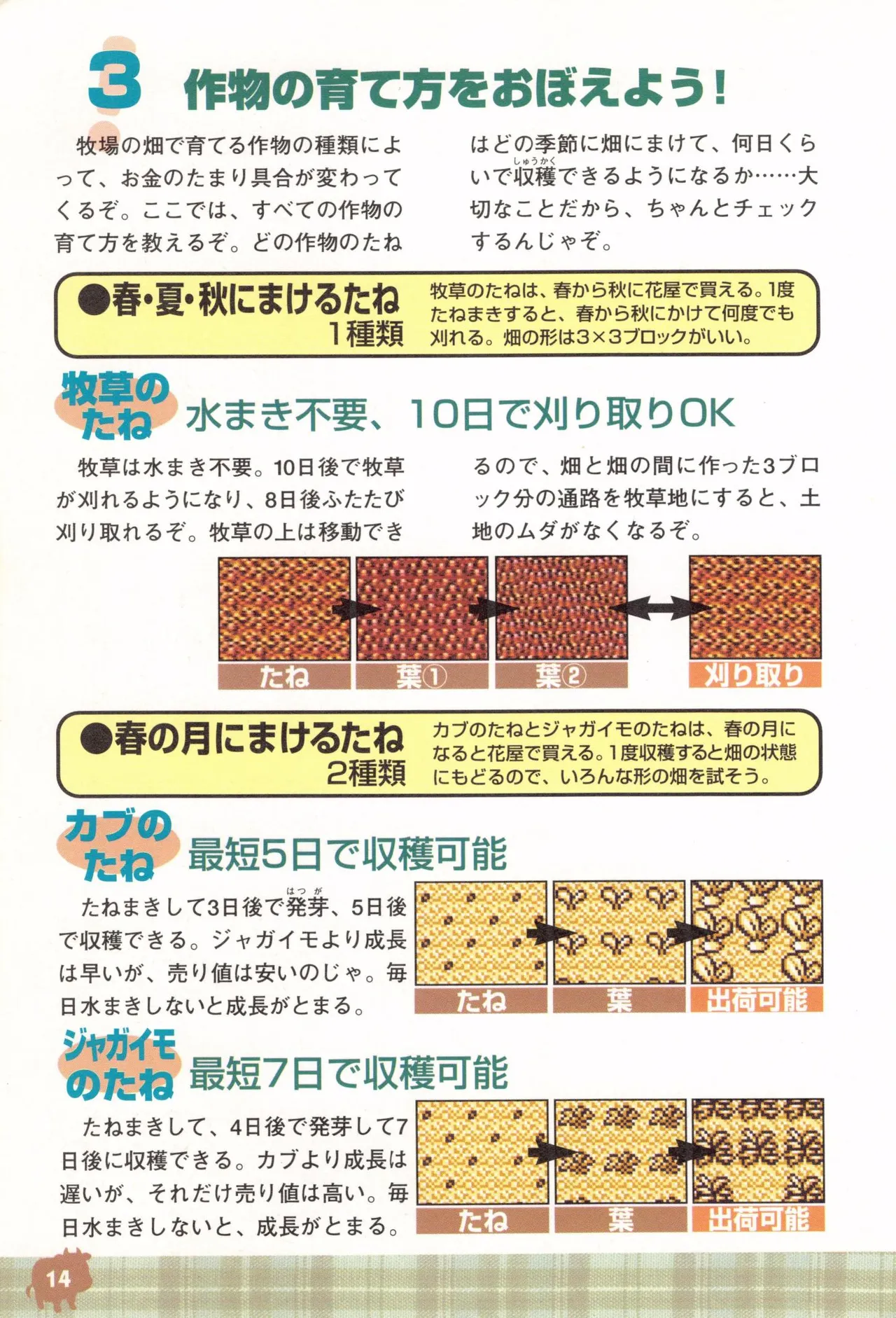 Harvest Moon GB Official Guide Book - Image 16