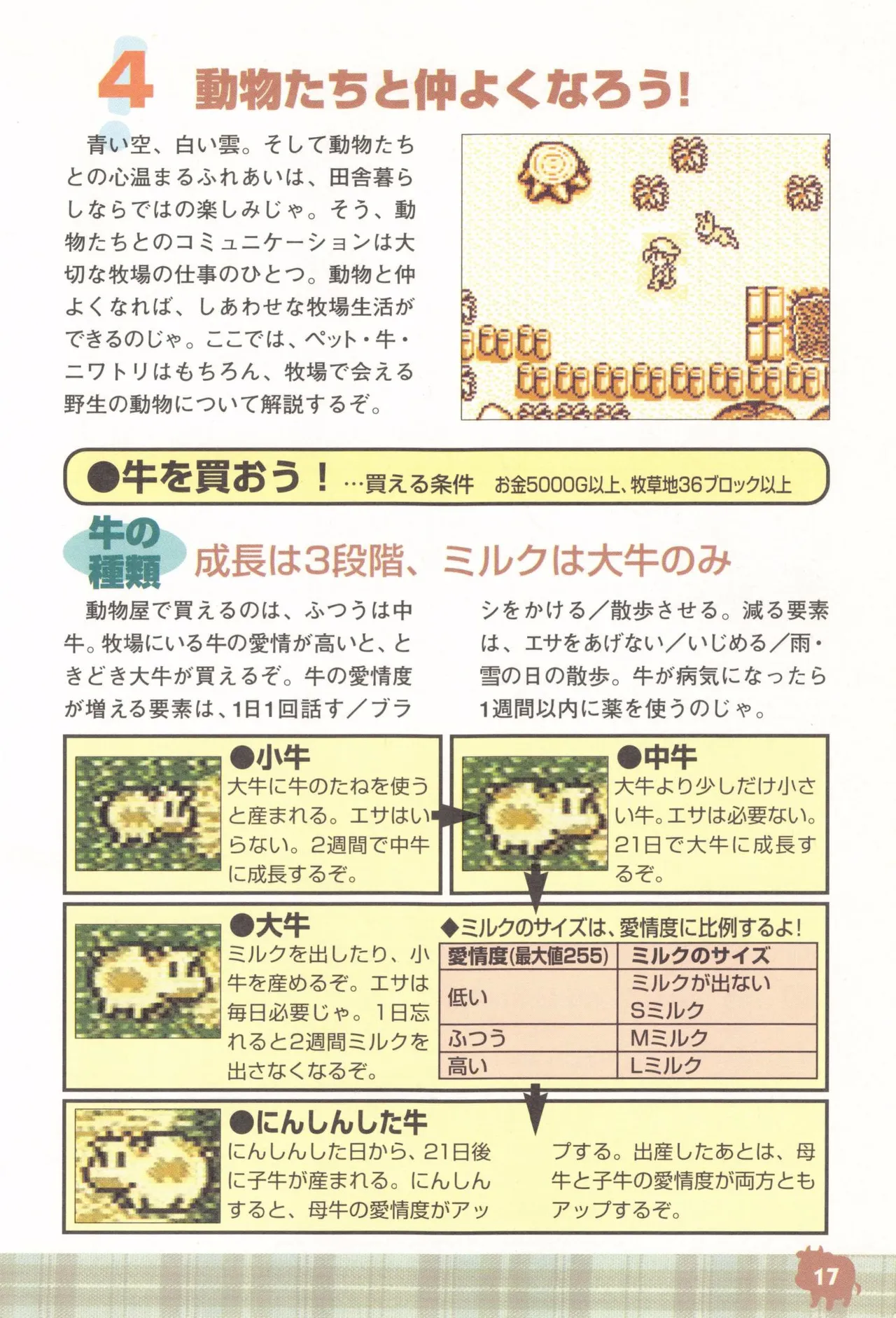 Harvest Moon GB Official Guide Book - Image 19