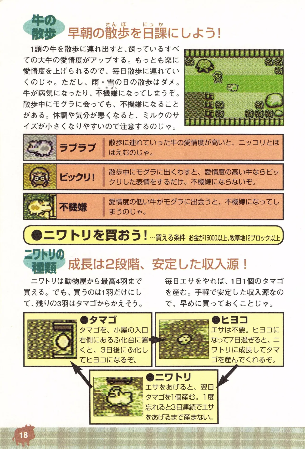 Harvest Moon GB Official Guide Book - Image 20