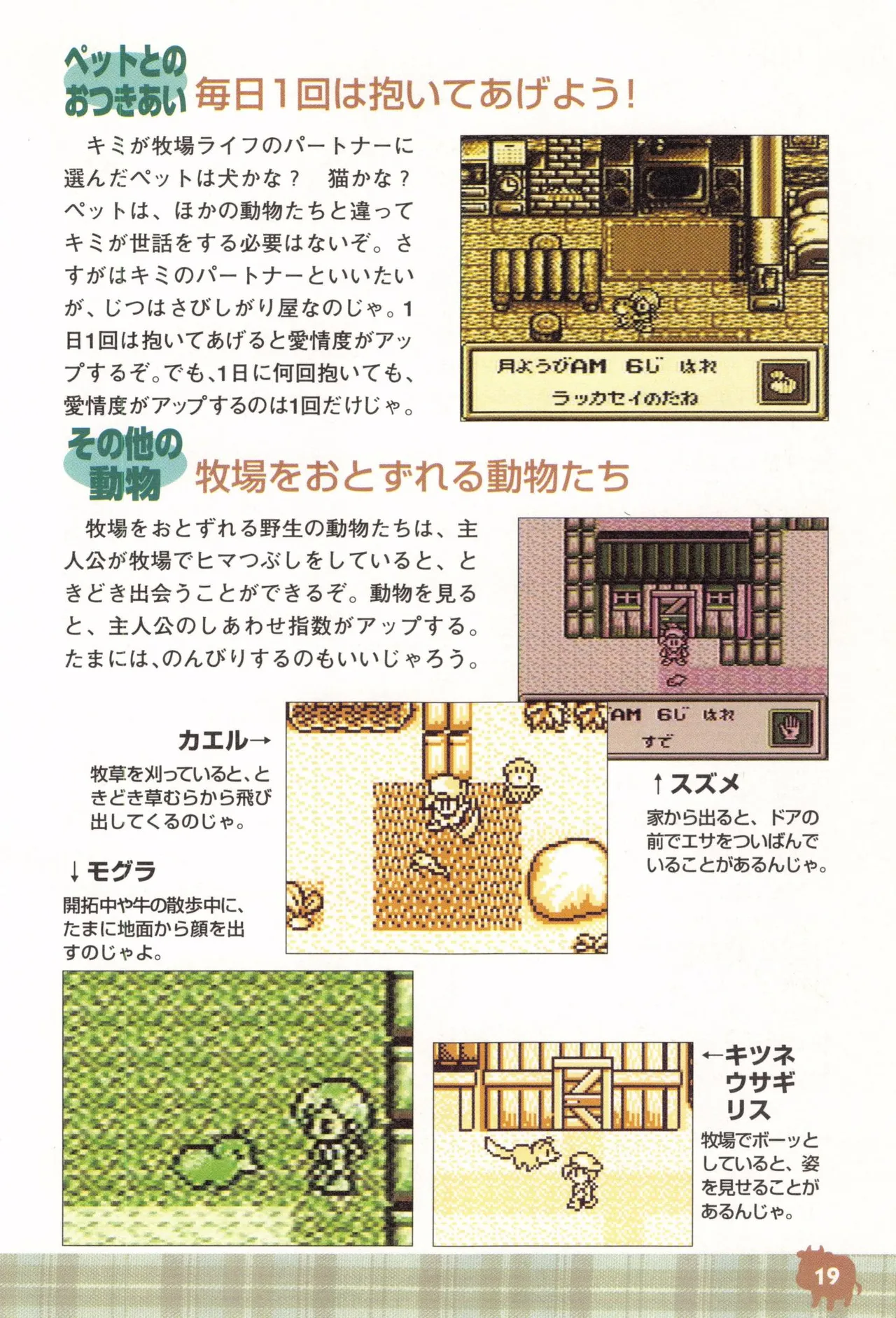 Harvest Moon GB Official Guide Book - Image 21