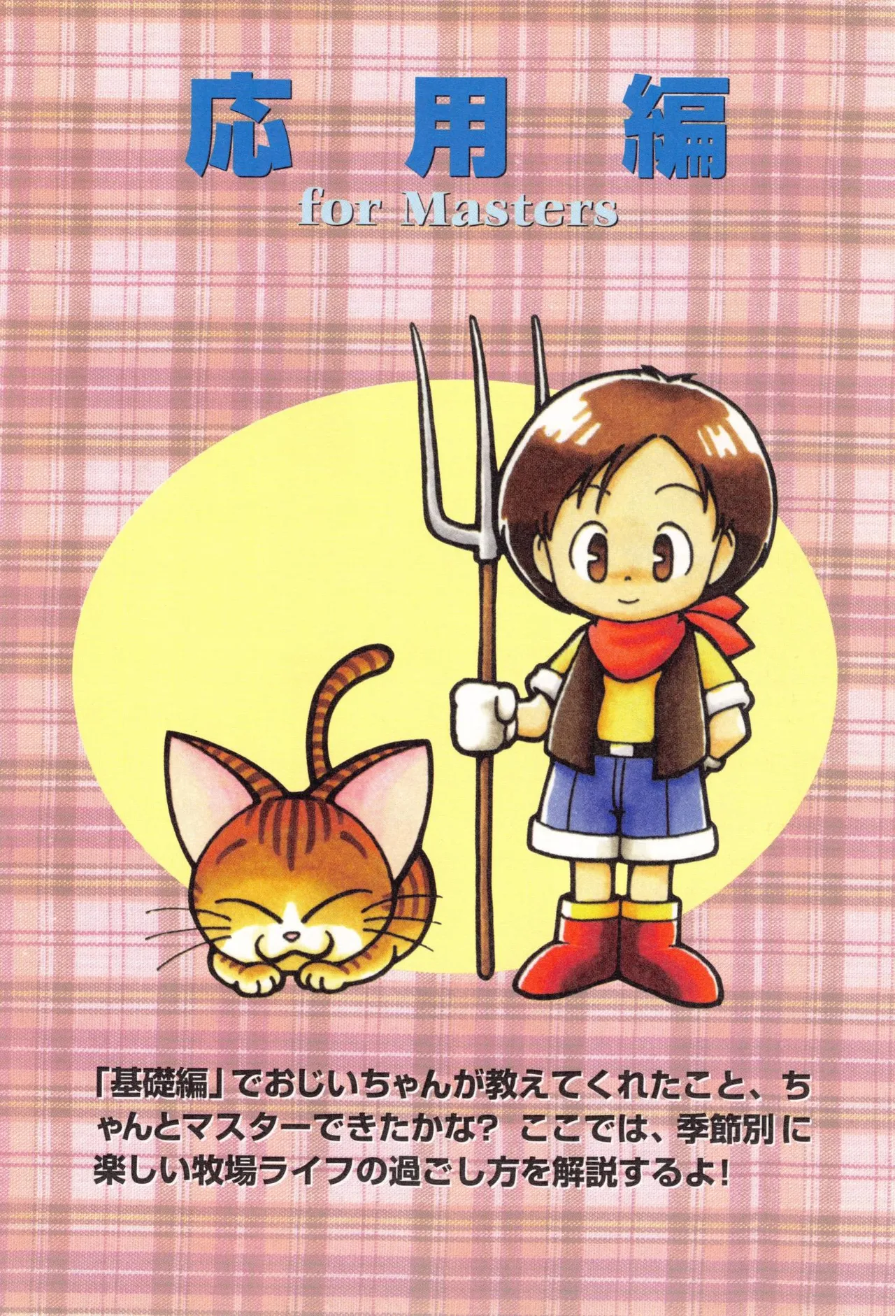 Harvest Moon GB Official Guide Book - Image 33
