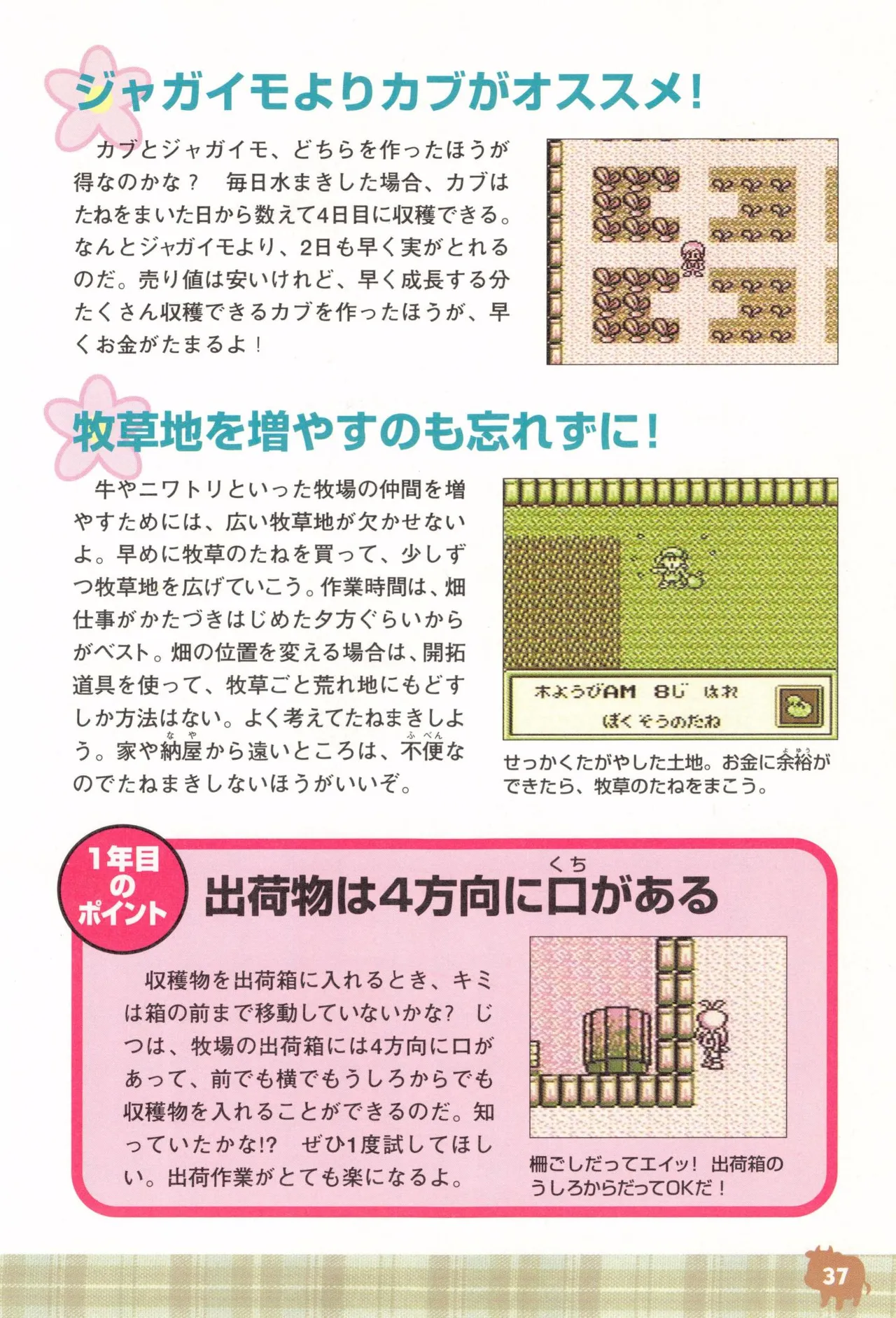 Harvest Moon GB Official Guide Book - Image 39