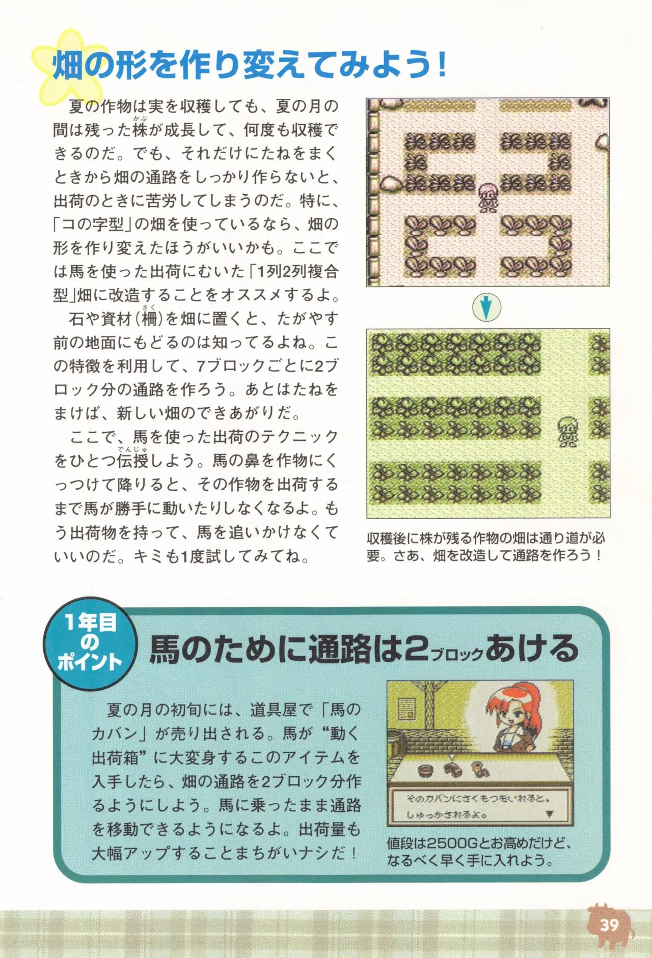 Harvest Moon GB Official Guide Book - Image 41