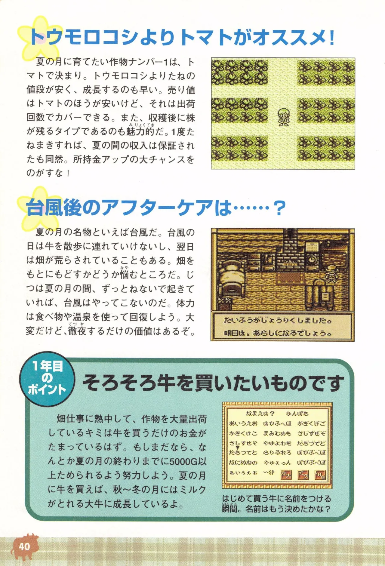 Harvest Moon GB Official Guide Book - Image 42