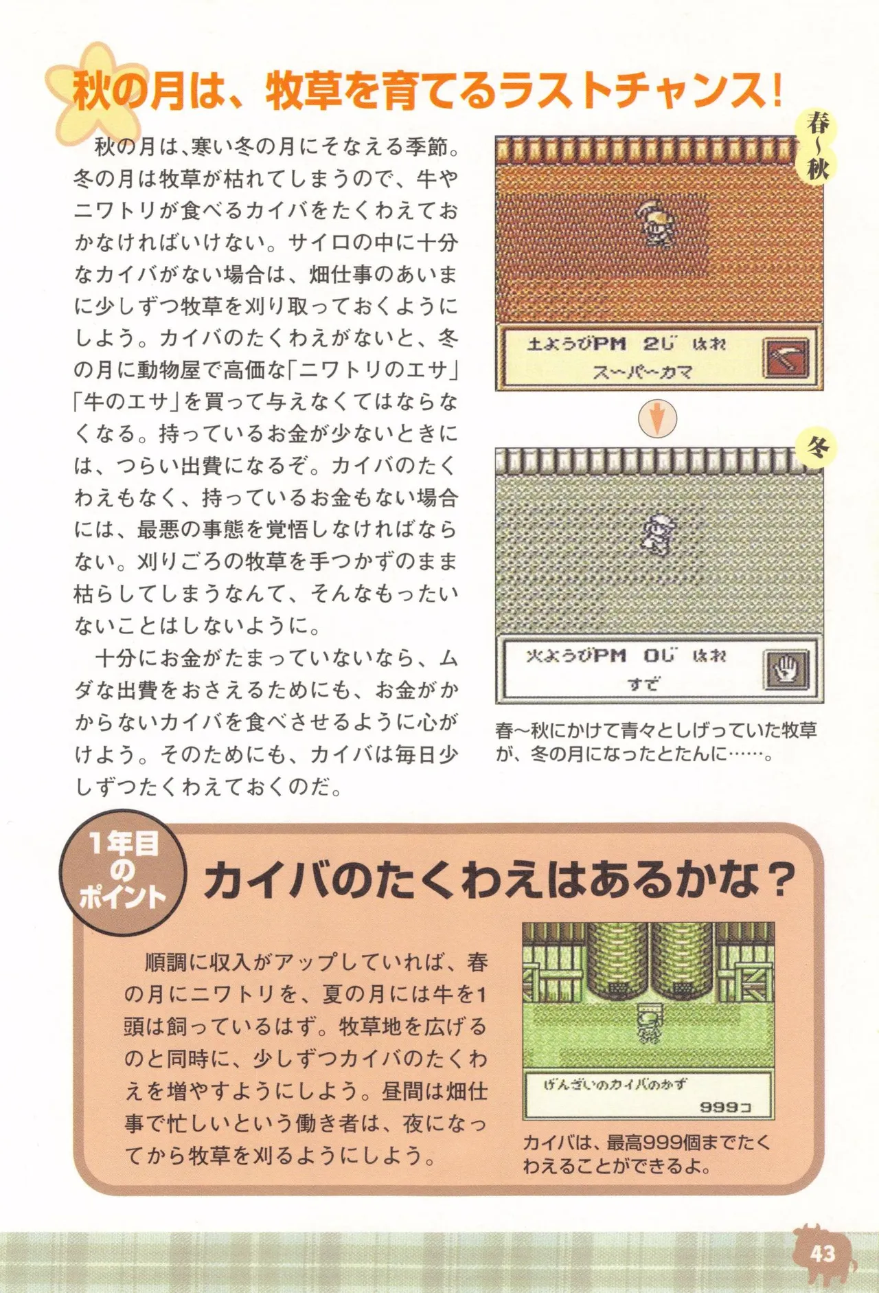 Harvest Moon GB Official Guide Book - Image 45