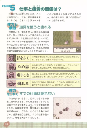 Harvest Moon GB Official Guide Book - Page 22