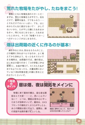 Harvest Moon GB Official Guide Book - Page 37