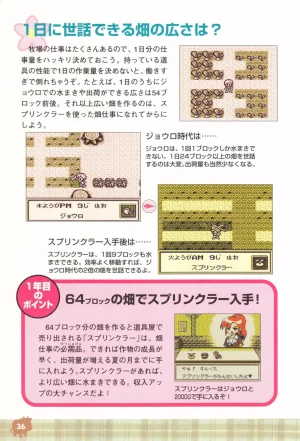 Harvest Moon GB Official Guide Book - Page 38