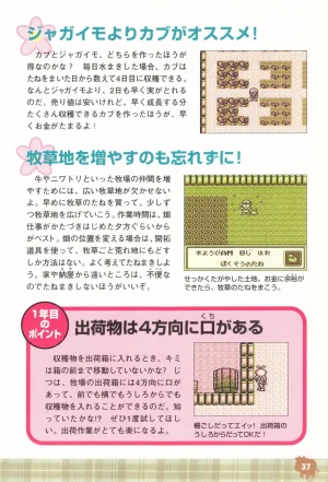 Harvest Moon GB Official Guide Book - Page 39