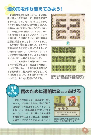 Harvest Moon GB Official Guide Book - Page 41