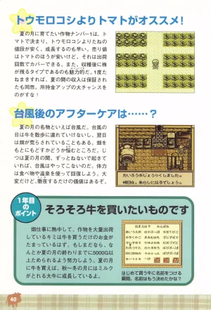 Harvest Moon GB Official Guide Book - Page 42