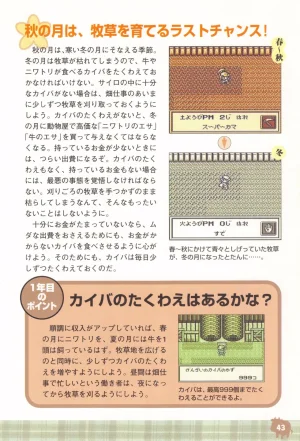 Harvest Moon GB Official Guide Book - Page 45