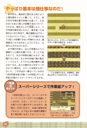 Harvest Moon GB Official Guide Book - Page 46