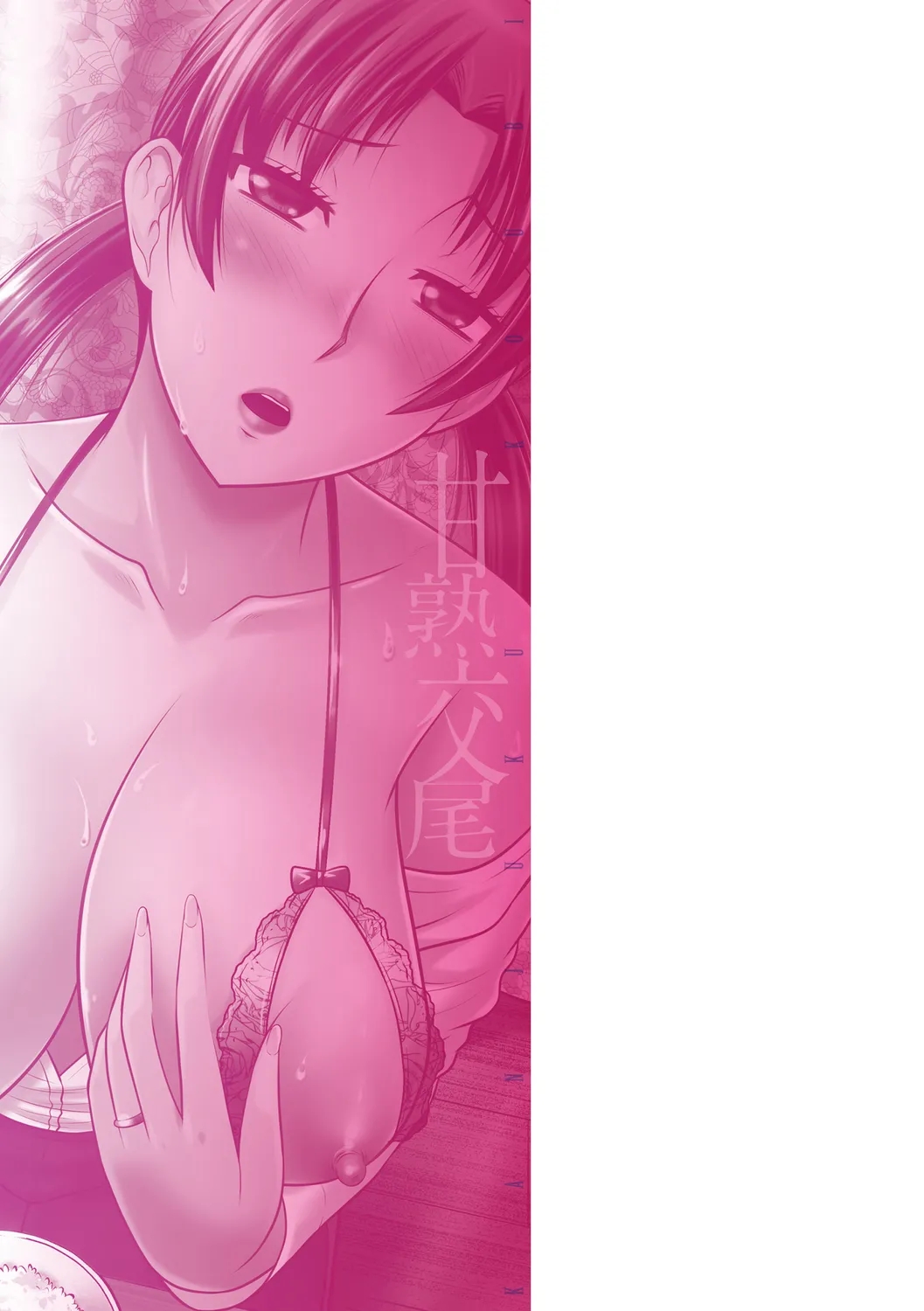 Hatakeyama Tohya Kanjuku Koubi English - Image 217