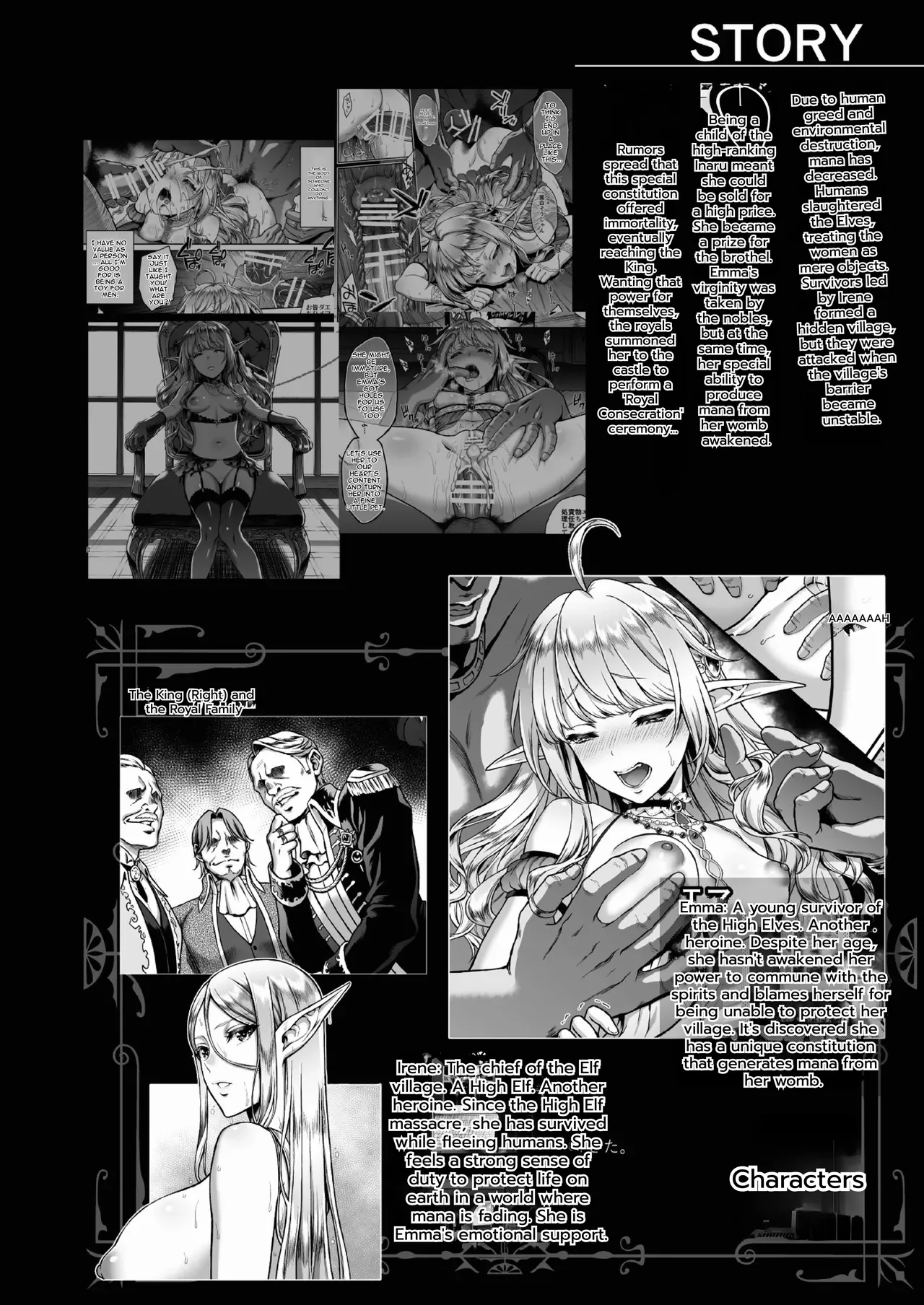 H.B.A Usagi Nagomu The Twilight Elf of the Evening 6 High Elf Turned Harlot 3 Decensored Digital English - Image 3