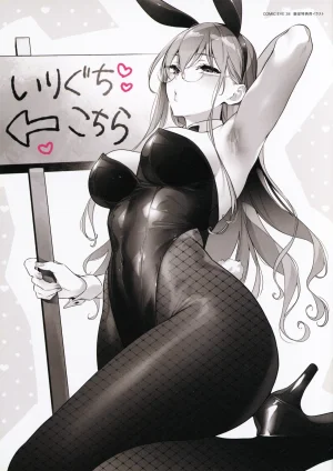 Hizuki Akira Bunny Labyrinth Hizuki-Akira illustration Works3 COMIC EE 50 Bonus booklet - Page 17
