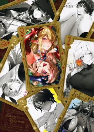 Hizuki Akira Bunny Labyrinth Hizuki-Akira illustration Works3 COMIC EE 50 Bonus booklet - Page 20