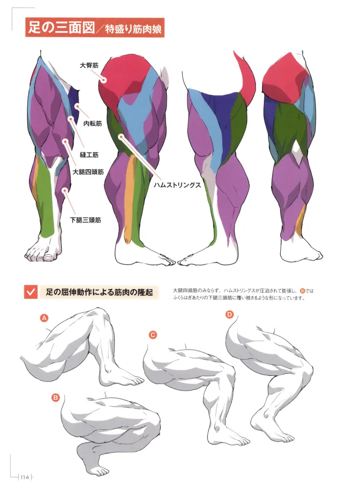 How to Draw a Muscular Girls for the First Time - Master the Key Muscle Points - Image 118