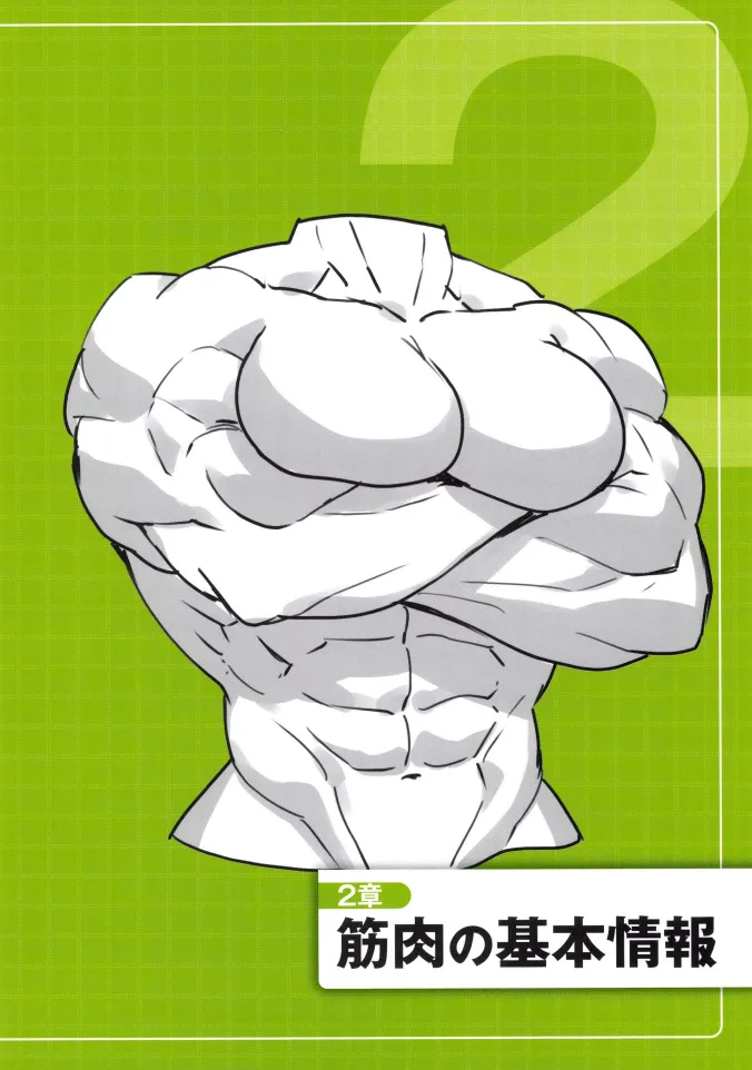 How to Draw a Muscular Girls for the First Time - Master the Key Muscle Points - Image 15