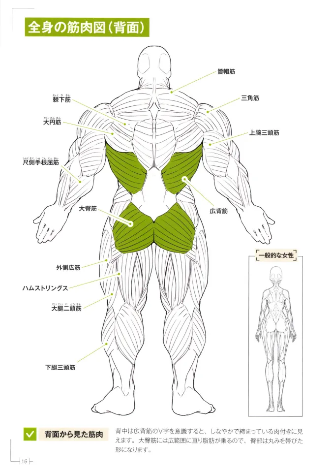 How to Draw a Muscular Girls for the First Time - Master the Key Muscle Points - Image 20