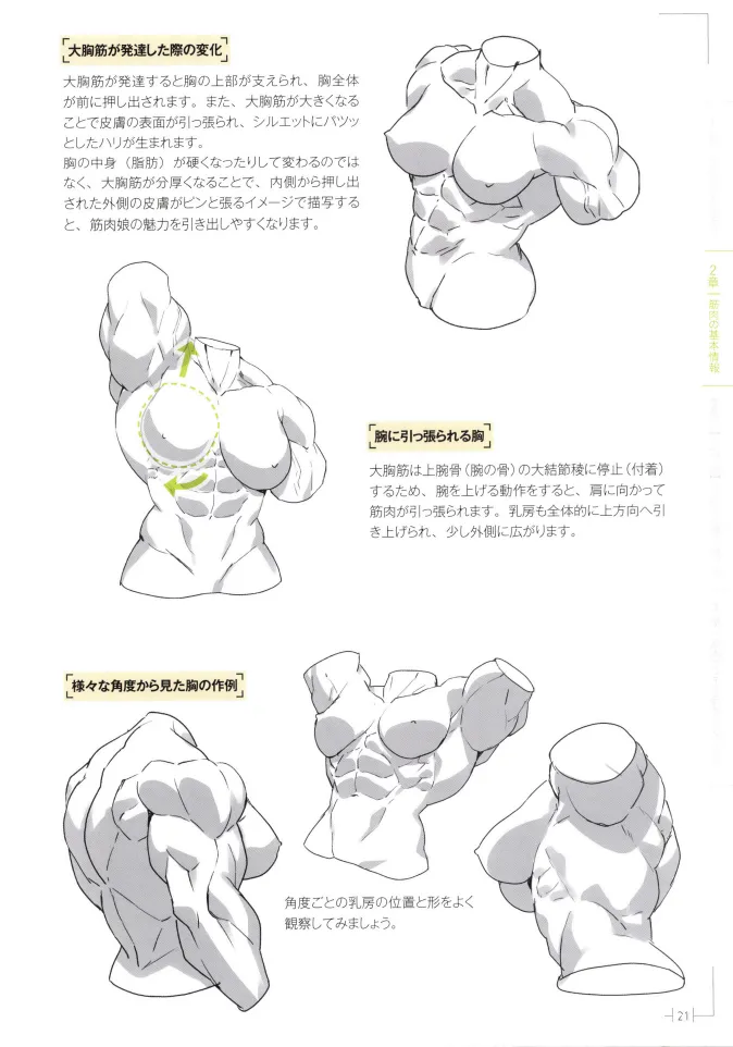 How to Draw a Muscular Girls for the First Time - Master the Key Muscle Points - Image 25