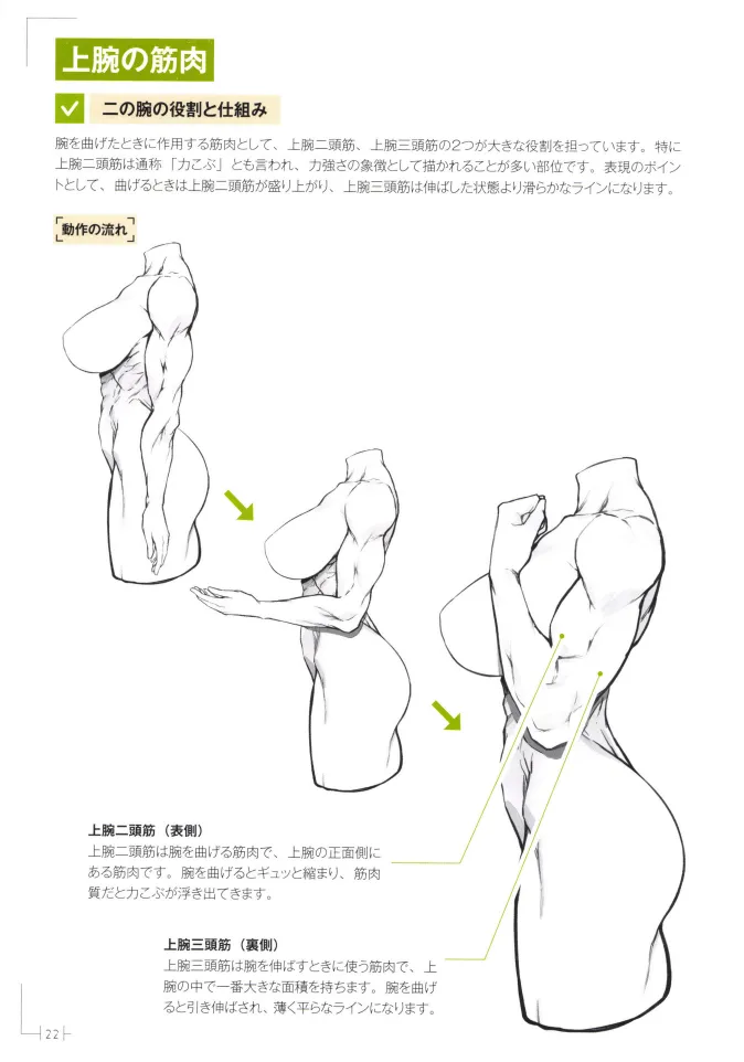 How to Draw a Muscular Girls for the First Time - Master the Key Muscle Points - Image 26