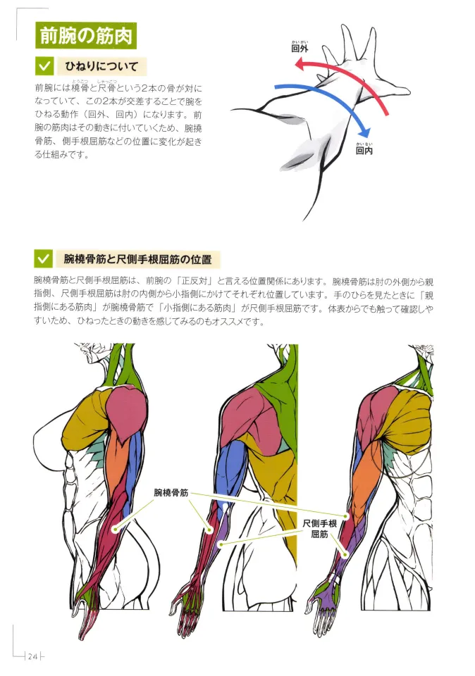 How to Draw a Muscular Girls for the First Time - Master the Key Muscle Points - Image 28