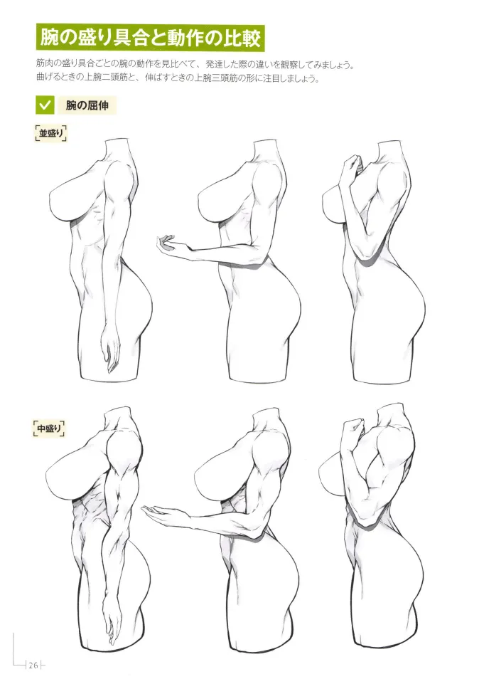 How to Draw a Muscular Girls for the First Time - Master the Key Muscle Points - Image 30