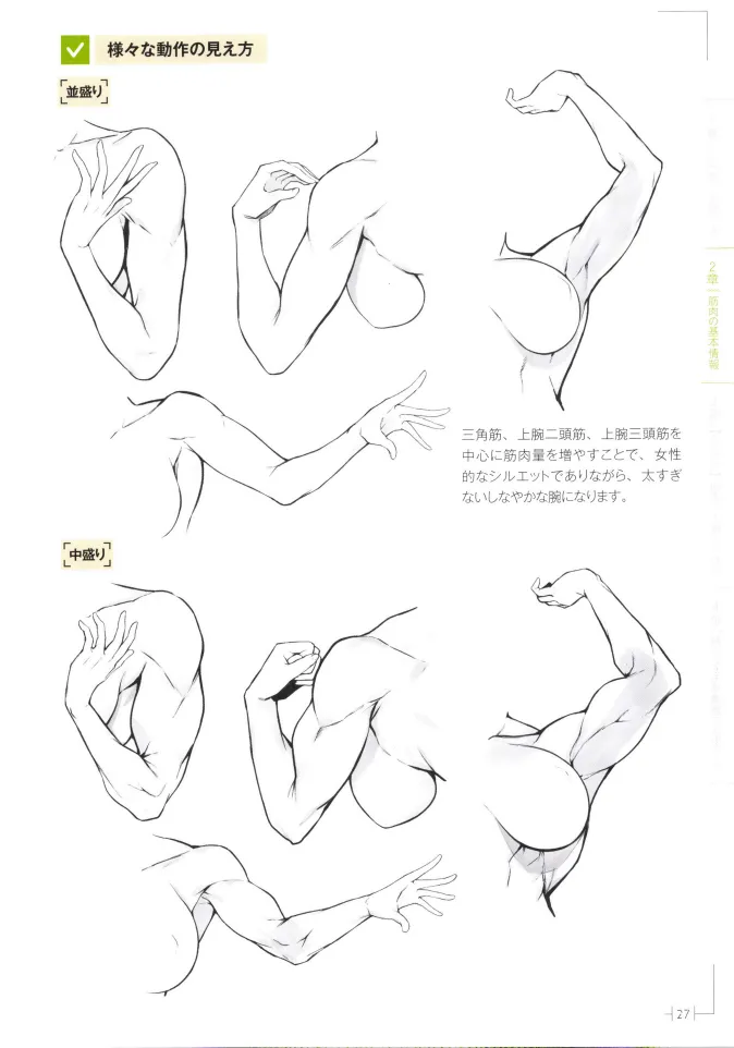 How to Draw a Muscular Girls for the First Time - Master the Key Muscle Points - Image 31